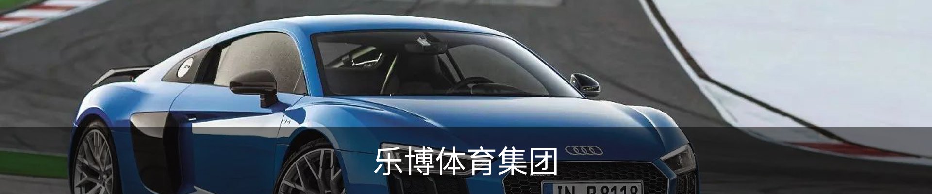 乐博体育集团